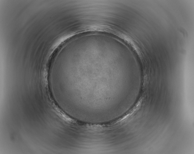 X0000111871019200907231508