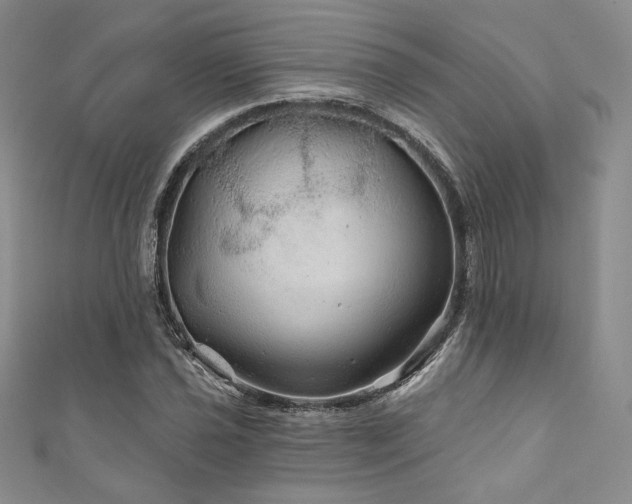 X0000111871021200907231508