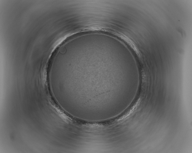 X0000111871023200907231508