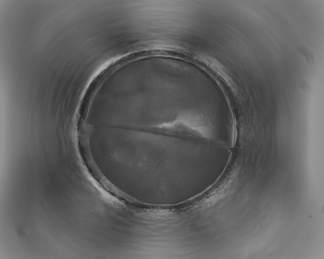 X0000111871024200907231508