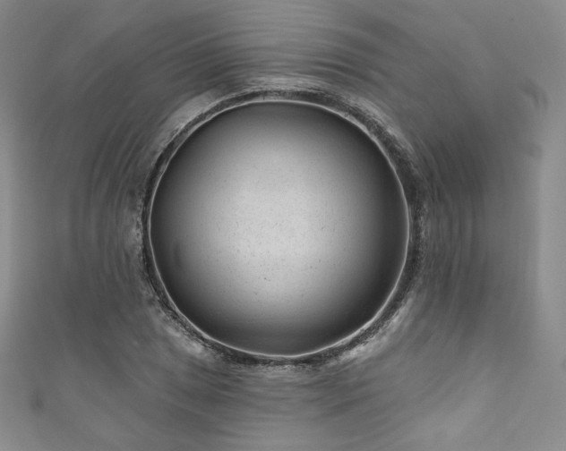 X0000111871025200907231508