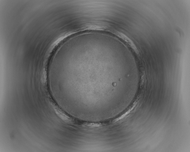 X0000111871027200907231508