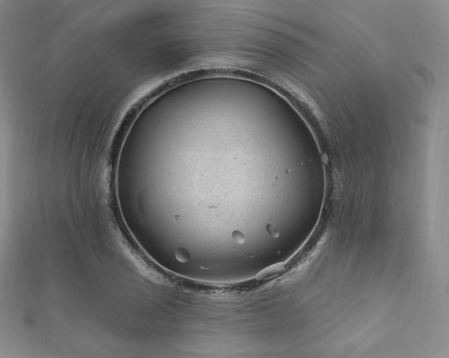 X0000111871029200907231508