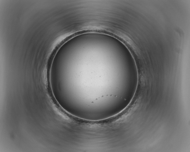 X0000111871030200907231508