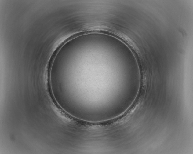 X0000111871031200907231508
