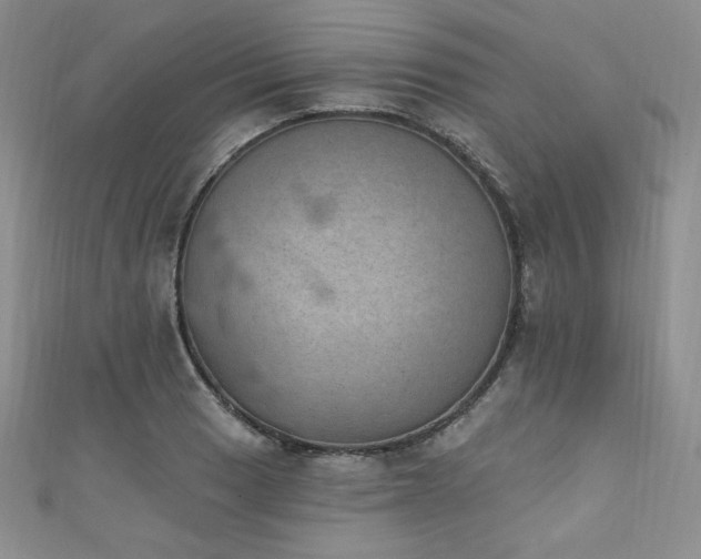 X0000111871033200907231508