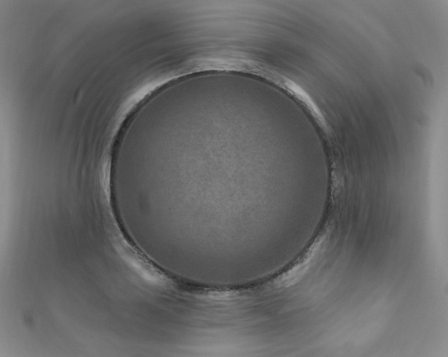 X0000111871035200907231508