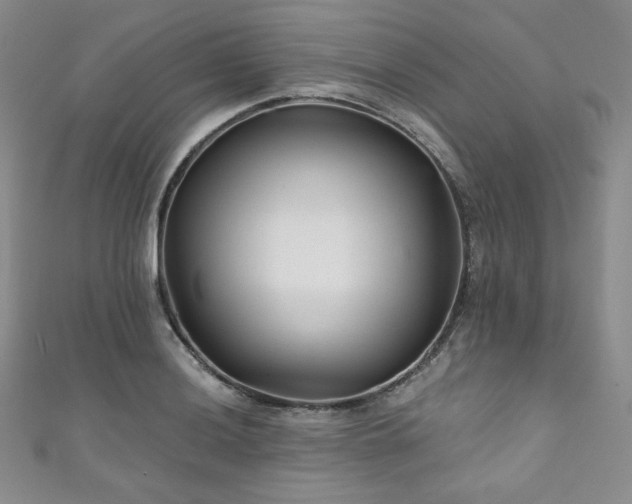 X0000111871036200907231508