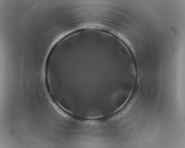 X0000111871037200907231508