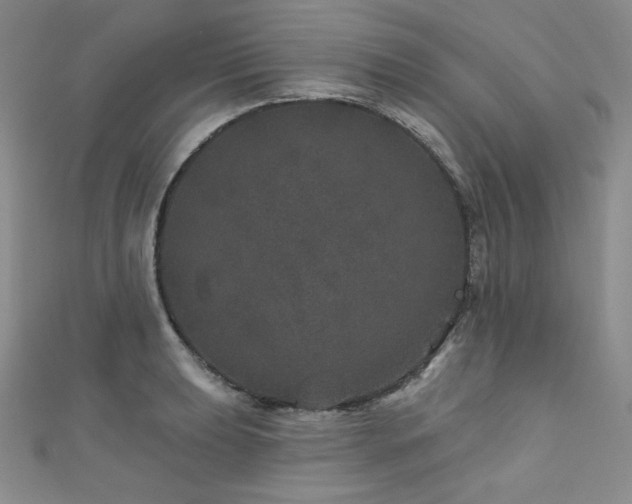X0000111871039200907231508