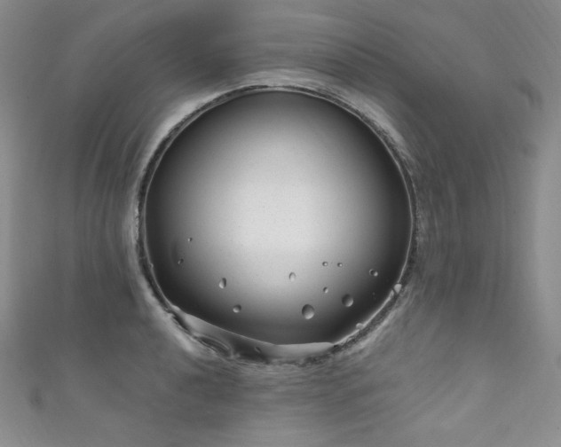 X0000111871040200907231508