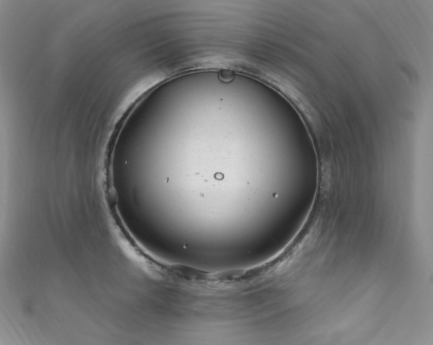 X0000111871042200907231508