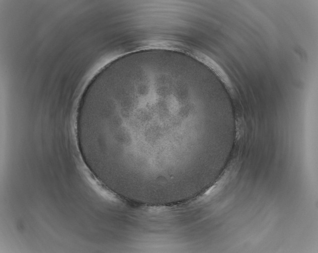 X0000111871043200907231508