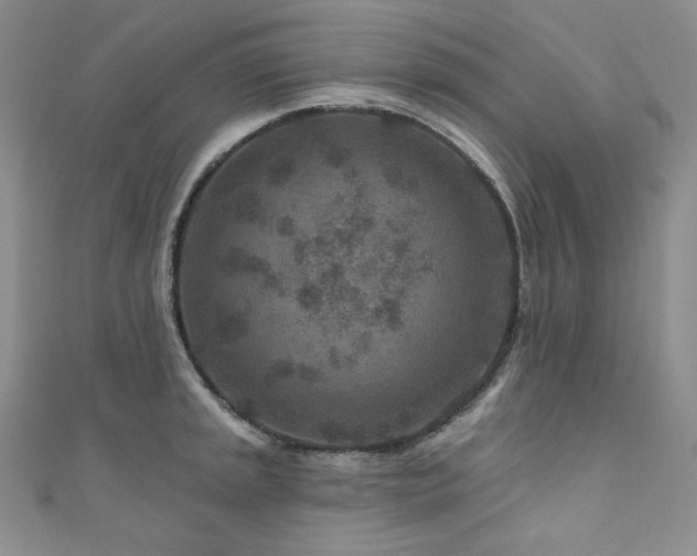 X0000111871045200907231508