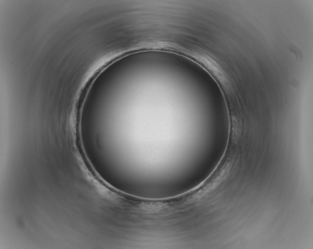X0000111871046200907231508