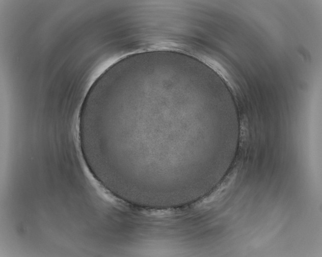X0000111871047200907231509