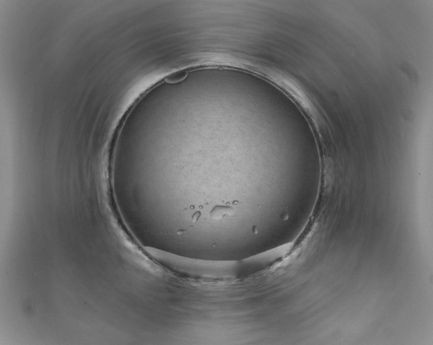 X0000111871048200907231509