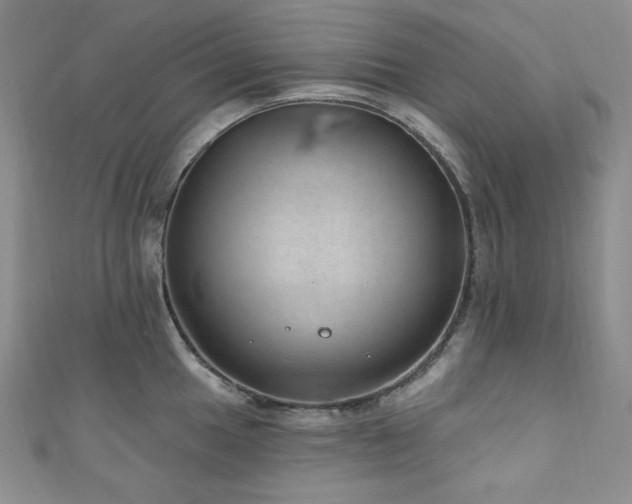 X0000111871049200907231509