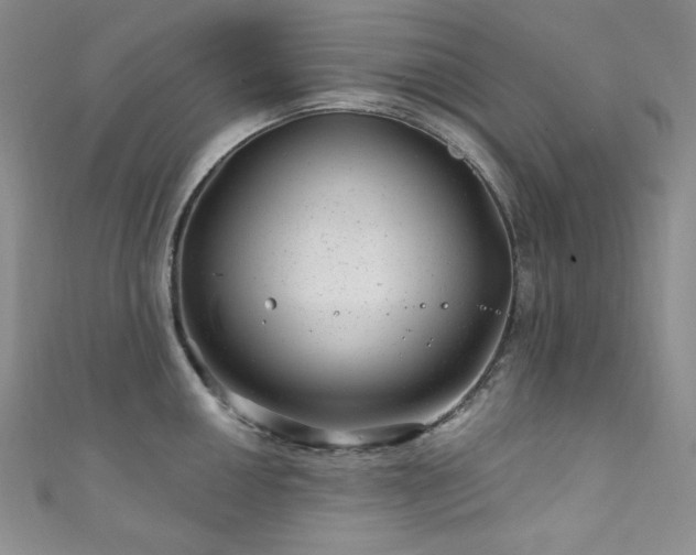 X0000111871050200907231509