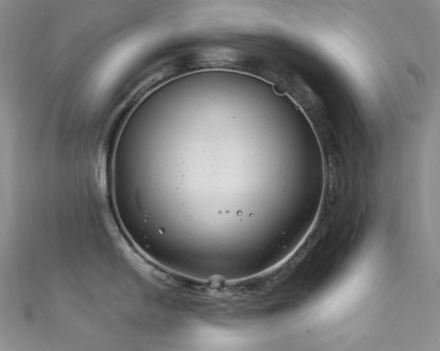 X0000111871054200907231509