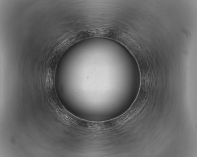 X0000111871058200907231508