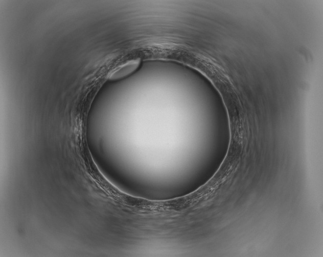 X0000111871061200907231508
