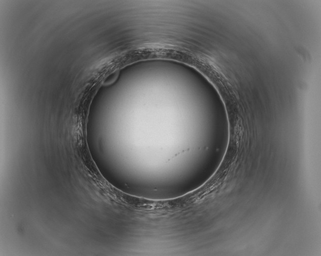 X0000111871062200907231508