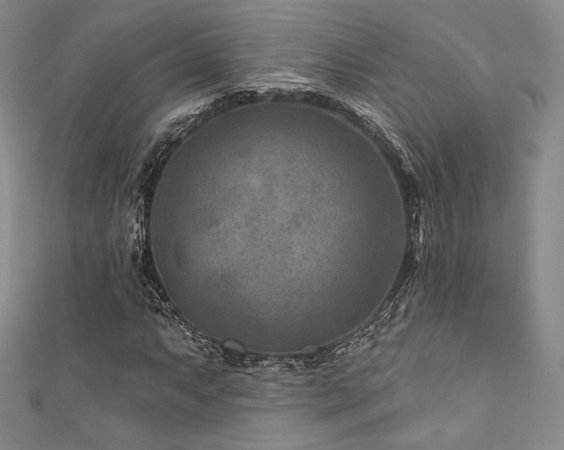 X0000111871063200907231508