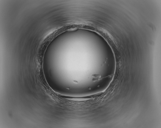 X0000111871064200907231508