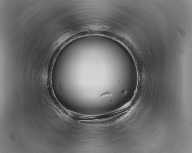 X0000111871065200907231508
