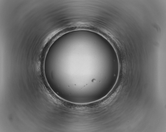 X0000111871066200907231508