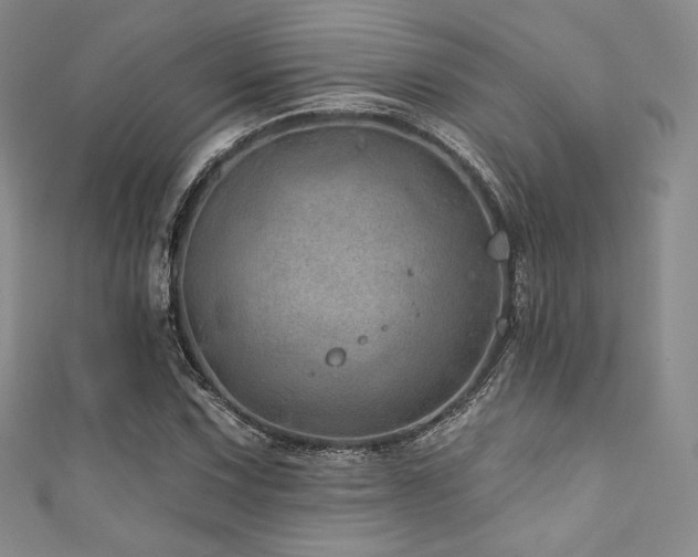 X0000111871067200907231508