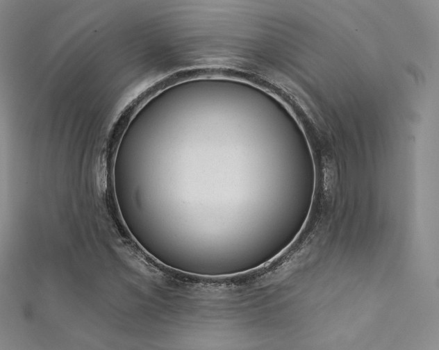 X0000111871069200907231508