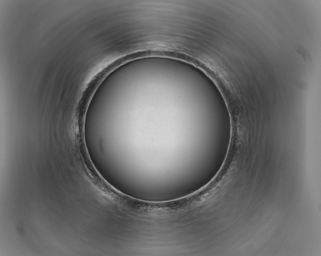 X0000111871070200907231508