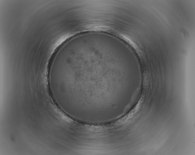 X0000111871071200907231508