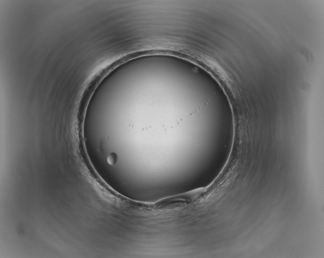 X0000111871072200907231508