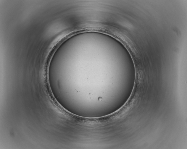 X0000111871074200907231508