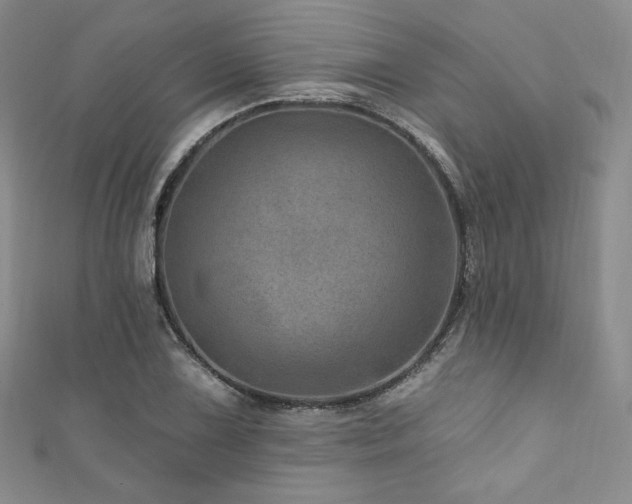X0000111871075200907231508