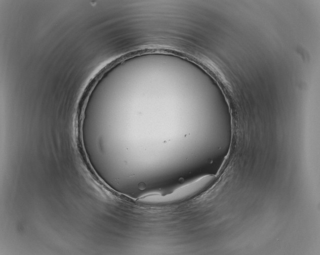 X0000111871076200907231508
