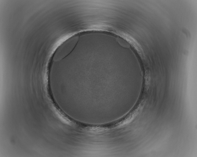 X0000111871077200907231508