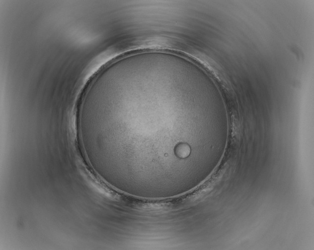 X0000111871078200907231508