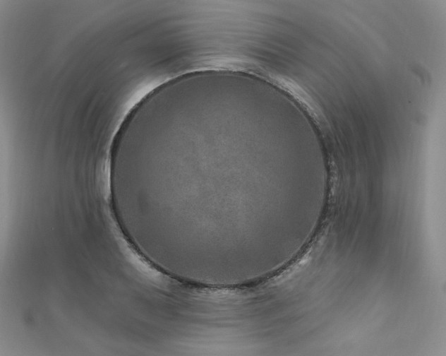 X0000111871079200907231508