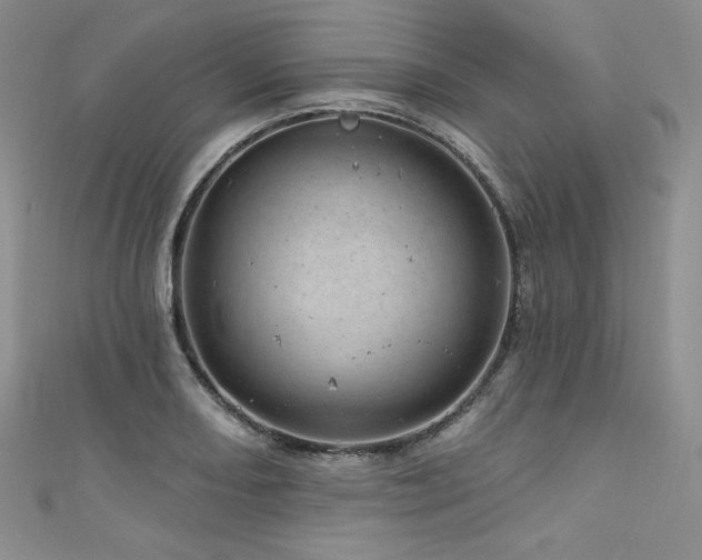 X0000111871082200907231508