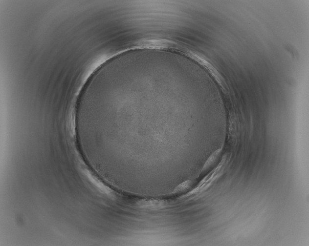 X0000111871083200907231508