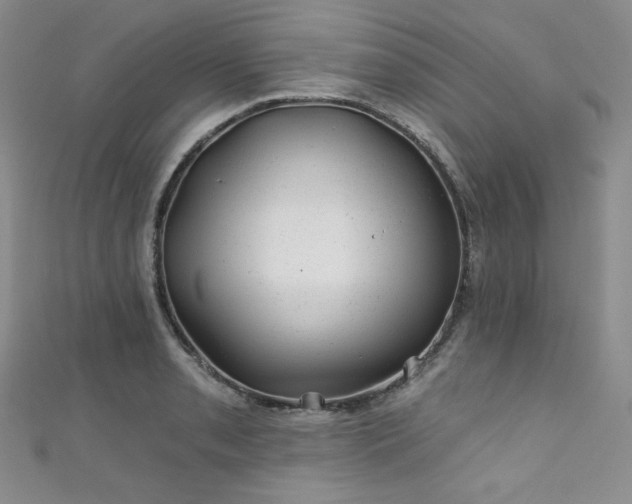 X0000111871085200907231508