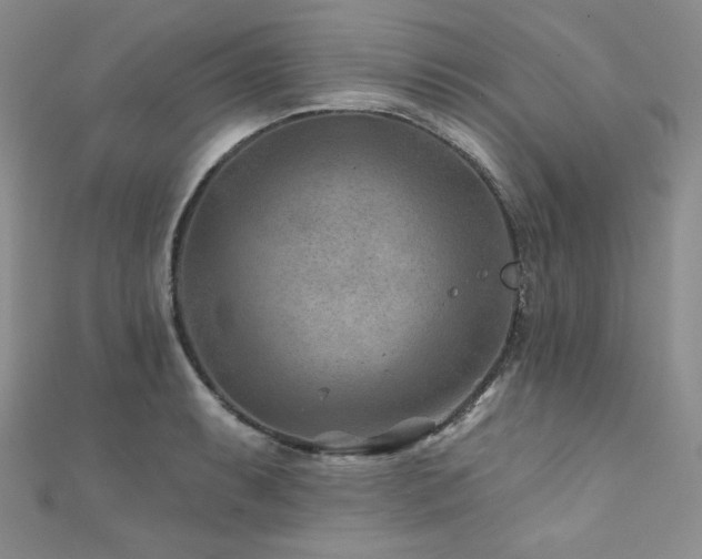 X0000111871087200907231508