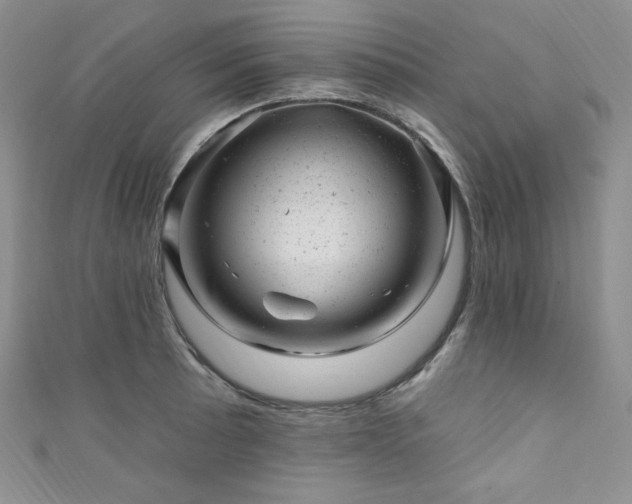 X0000111871089200907231508