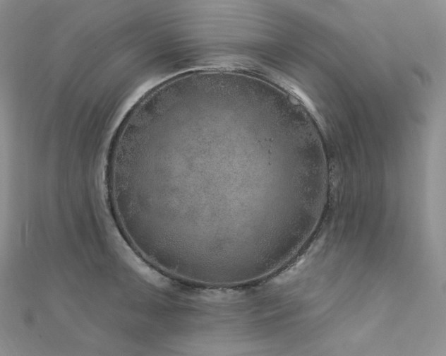 X0000111871091200907231508