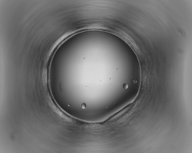 X0000111871092200907231508