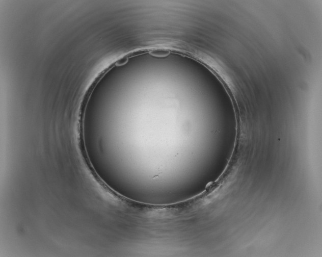 X0000111871093200907231508